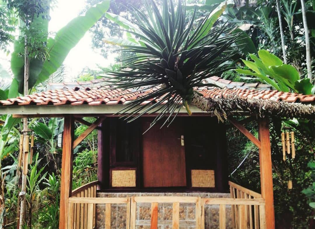 Sky Garden Lombok Apartman Tetebatu Kültér fotó