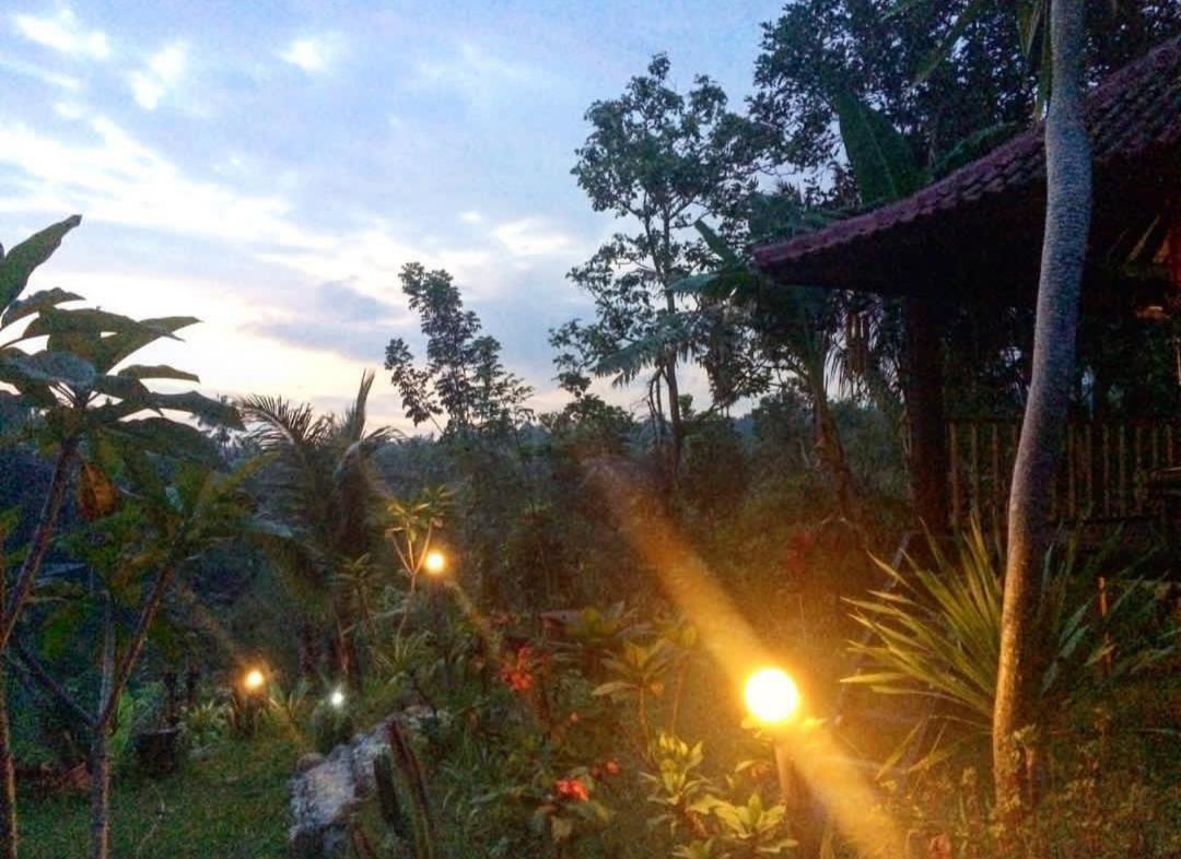 Sky Garden Lombok Apartman Tetebatu Kültér fotó