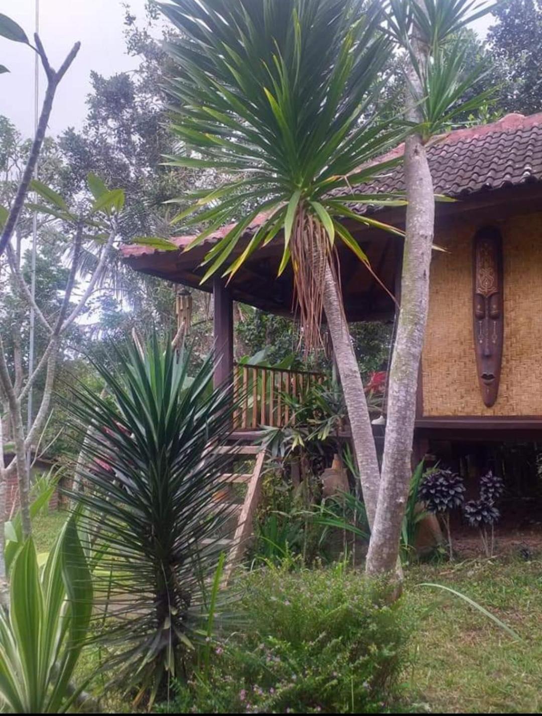 Sky Garden Lombok Apartman Tetebatu Szoba fotó